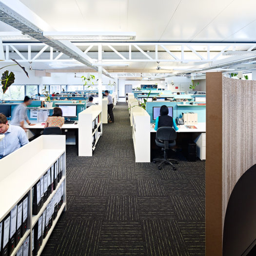 green sustainable office fitout with living plant features