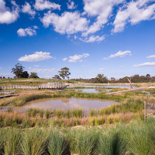 wetlands in Bundoora with walkways, bridge