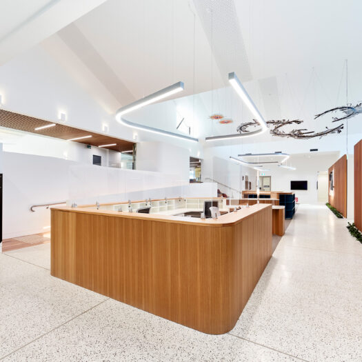 Nunawading Community Hub reception desk with curved strip lights above, stairs and timber batons separating meeting rooms and offices - structure photographer example / concept
