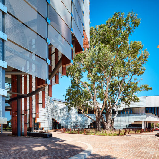 Springvale Library and Community Hub with tree around which building designed - structure photographer example / concept